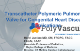 Transcatheter Polymeric Pulmonary Valve for Congenital Heart Disease Applications (PolyVascular)