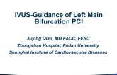 Case #1: FFR- and IVUS-Guidance of Left Main Bifurcation PCI