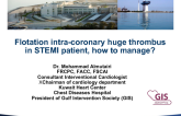 Informal Comments: Kuwait Responds to Ukraine on Management of Extensive Thrombus During STEMI PCI