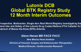 TCT-3: The Lutonix® Global Drug Coated Balloon Registry Real World Patients With Below the Knee Disease – Interim 12 Month Outcomes
