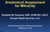 Anatomical Assessment for the MitraClip