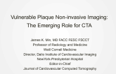 Vulnerable Plaque Non-Invasive Imaging: The Emerging Role for CTA