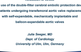 TCT-4: Reduction of Stroke With Use of the Double-Filter Cerebral Embolic Protection Device in Patients Undergoing Transfemoral Aortic Valve Replacement With Self-Expandable, Mechanically Implantable And Balloon-Expandable Aortic Valves