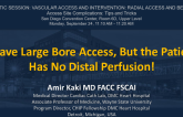 I Have Large Bore Femoral Access, But the Patient Has No Distal Perfusion!