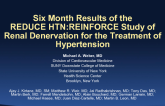 REDUCE HTN: REINFORCE: A Sham-Controlled, Off-Med Randomized Trial of Renal Denervation for Treatment of Hypertension