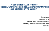 A Stroke after TAVR “Primer”: Time Course, Changing Incidence, Ascertainment Challenges, and Comparison vs. Surgery