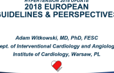 2018 European Guidelines and Perspectives on Hypertension