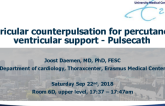 Ventricular Counterpulsation for Percutaneous Ventricular Support: PulseCath