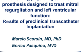 Pioneering Physiological Mitral Prosthesis Designed to Treat Mitral Regurgitation and Left Ventricular Function: Results of Preclinical Transcatheter Implantation (Epygon)