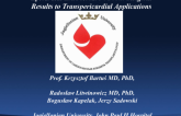 Epicardial LAA closure: From Surgical Results to Transpericardial Applications