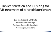 Device Selection and CT Sizing for TAVR Treatment of BAV
