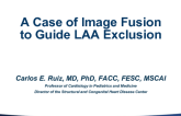 Case #5: A Case of Image Fusion Technology to Guide LAA Exclusion