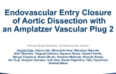 Japan Presents: Endovascular Entry Closure of Aortic Dissection With an Amplatzer Vascular Plug 2