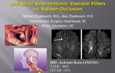 TCT-88: Optimal Cerebral Protection in Cardiac and Aortic Interventions: Vascular Filters vs. Balloon Occlusion?