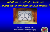 The Mitral Surgeon's Perspective: What Transcatheter Tools Are Necessary to Emulate Surgical Results?