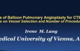 Case #3: A Case of Balloon Pulmonary Angioplasty for CTEPH: Focus on Vessel Selection and Number of Procedures