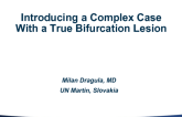 Slovakia Presents: Introducing a Complex Case With a True Bifurcation Lesion