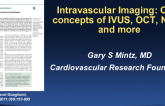 Intravascular Imaging: Core Concepts of IVUS, OCT, NIRS, and More