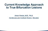 Slovakia Presents: Current Knowledge – Approach to True Bifurcation Lesions