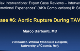 Case #6: Aortic Rupture During TAVR