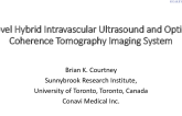 Novasight HybridTM – A Novel Hybrid Intravascular Ultrasound and Optical Coherence Tomography Imaging System (Conavi Medical Inc.)