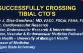 How to Optimize Success in Crossing Tibial Occlusions