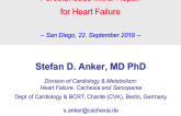Percutaneous Mitral Repair for Heart Failure