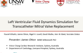 TCT-20: Left Ventricular Fluid Dynamics Simulation for Transcatheter Mitral Valve Replacement