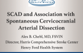 SCAD and Association with Spontaneous Cervicocranial Arterial Dissection