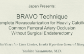 Japan Presents: BRAVO Technique - Complete Revascularization for Heavily Calcified Common Femoral Artery Occlusion Without Surgical Endaterectomy