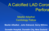 Case 2 (B): A Calcified Lad Coronary Perforation