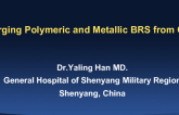 Emerging Polymeric and Metallic BRS from China