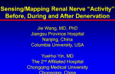 Sensing Renal Nerve Activity Before, During, and After Denervation: SyMap