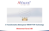 A Bioinspired Transcatheter Mitral Valve Replacement System: AValve