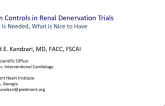 Sham Controls in Renal Denervation Studies: Need to Have vs Nice to Have?