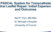 PASCAL System for Transcatheter Mitral Leaflet Repair: Initial Experience and Outcomes