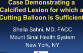 Case #2: A Case Demonstrating the Calcified Lesion for Which a Cutting or Scoring Balloon is Sufficient