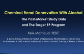Alcohol-Mediated Renal Denervation – Current Status and US Pivotal Trial Plans