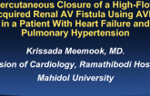Thailand Presents: Percutaneous Closure of a High-Flow Acquired Renal AV Fistula Using AVP2 in a Patient With Heart Failure and Pulmonary Hypertension