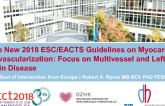 The New 2018 ESC/EACTS Guidelines on Myocardial Revascularization: Focus on Multivessel and Left Main Disease