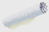 FDA Approves New Covered Stent Option for Coronary Perforations
