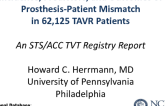 Prosthesis-Patient Mismatch: Incidence, Predictors, and Outcome of Prosthesis-Patient Mismatch After Transcatheter Aortic Valve Replacement