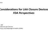 Considerations for LAA Closure Devices: FDA Perspective