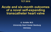 TCT-41: Acute and Six-month Outcomes of a Novel Self-Expanding Transcatheter Heart Valve