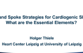 Hub and Spoke Strategies for Cardiogenic Shock: What are the Essential Elements?
