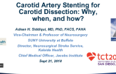Case #4: Carotid Artery Stenting for Carotid Artery Dissection: Why, When, and How