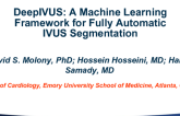 TCT-2: DeepIVUS: A Machine Learning Framework for Fully Automatic IVUS Segmentation