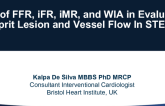 The Role of FFR, iFR, iMR, and WIA In Evaluating Culprit Lesion and Vessel Flow In STEMI