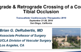 Case #7: Combined Antegrade/Retrograde Crossing of a Complex Tibial CTO