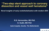 The Netherlands Presents: Two-Step Stent Approach to Coronary Dissection and Vessel Wall Hematoma